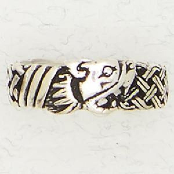 Celtic Lion